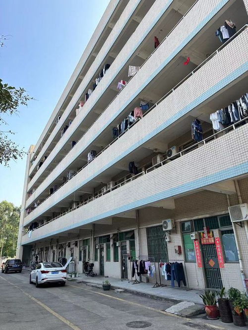 深圳寶安區一工廠四萬多平的工業房產第二次拍賣,1.4386億就成交